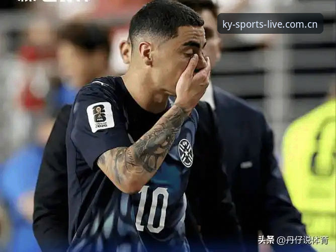 揭秘世界杯“冷场”真相：约旦土耳其球迷签证困局，ky体育v3.2带你直击观赛体验